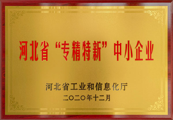 恭喜我公司入選河北省第五批“專精特新”中小企業